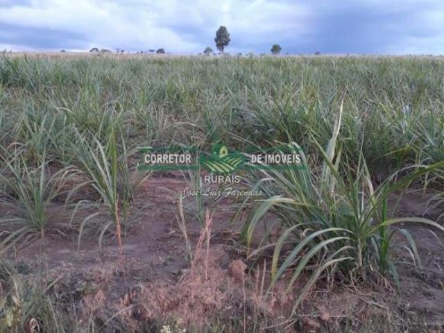 Sítio e chácara venda em Região Geográfica Imediata de Juiz de Fora, Arantina