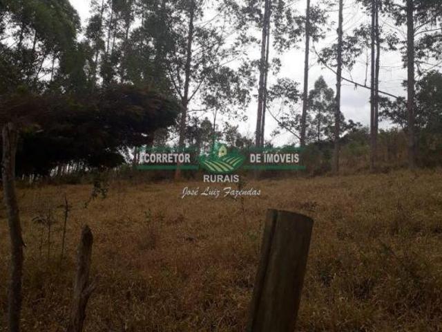 Sítio e chácara venda em Região Geográfica Imediata de Juiz de Fora, Arantina