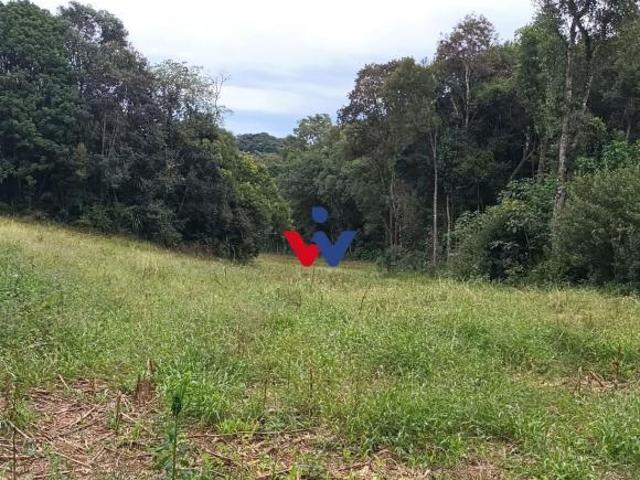 Sitio venda em Araucaria