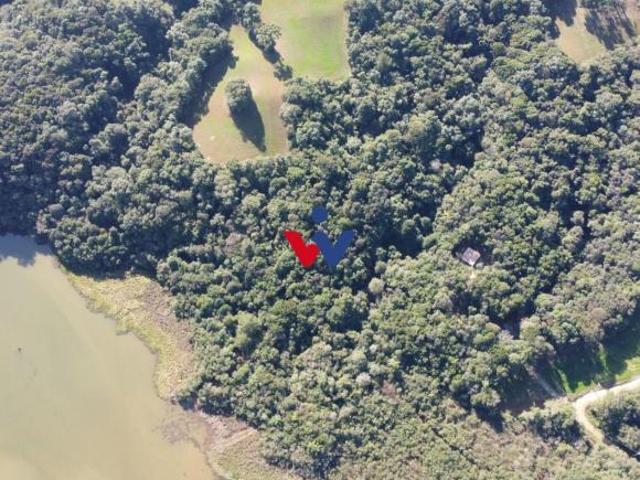 Sitio venda em Araucaria