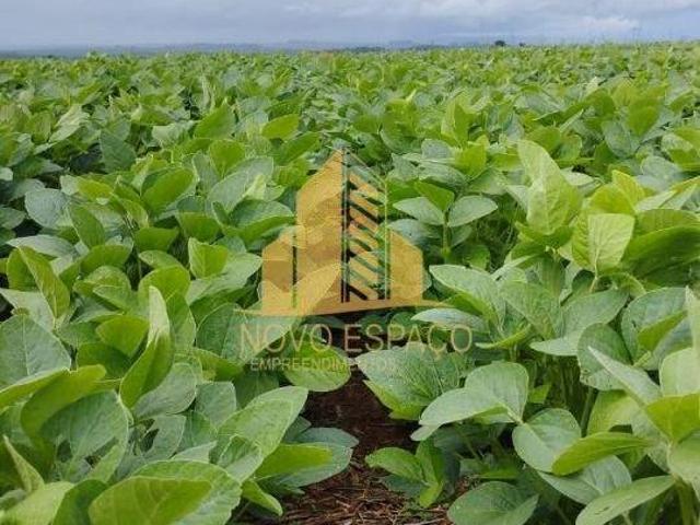 Sítio e chácara venda em Região Geográfica Imediata de Araxá, Araxá