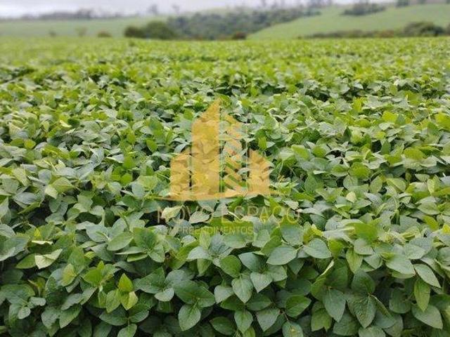 Sítio e chácara venda em Região Geográfica Imediata de Araxá, Araxá