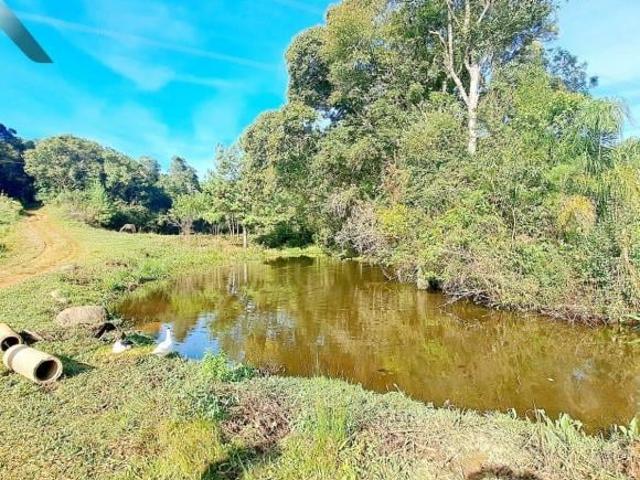Sítio e chácara venda em Região Geográfica Imediata de Curitiba, Região Metropolitana de Curitiba