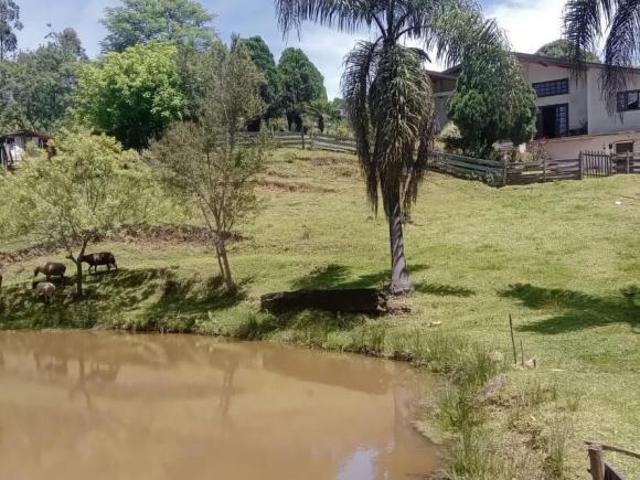 Sítio e chácara venda em Região Geográfica Imediata de Curitiba, Região Metropolitana de Curitiba