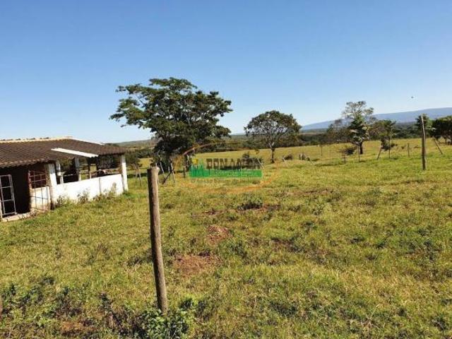Sítio e chácara venda em Augusto de Lima, Região Geográfica Intermediária de Belo Horizonte