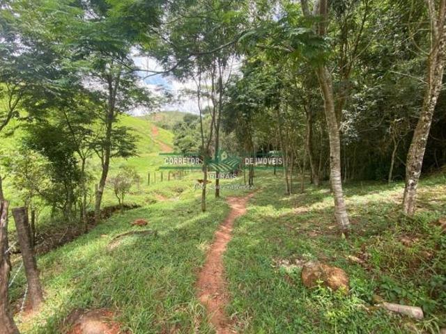 Sítio e chácara venda em Região Geográfica Imediata de Caxambu - Baependi, Baependi