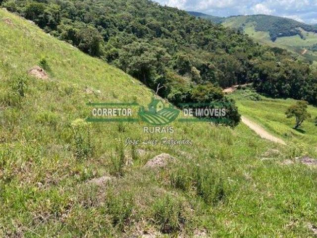Sítio e chácara venda em Região Geográfica Imediata de Caxambu - Baependi, Baependi
