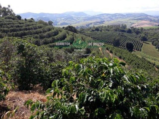 Sítio e chácara venda em Região Geográfica Imediata de Caxambu - Baependi, Baependi