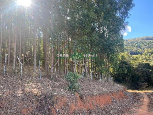Sítio e chácara venda em Região Geográfica Imediata de Caxambu - Baependi, Baependi