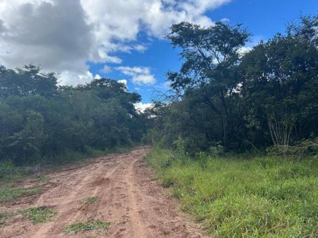 Sítio e chácara venda em Região Geográfica Imediata de Caxambu - Baependi, Baependi