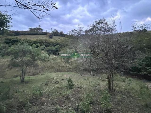 Sítio e chácara venda em Conceição do Mato Dentro, Região Geográfica Intermediária de Belo Horizonte