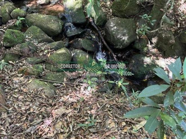 Sítio e chácara venda em Região Geográfica Imediata de Caxambu - Baependi, Baependi