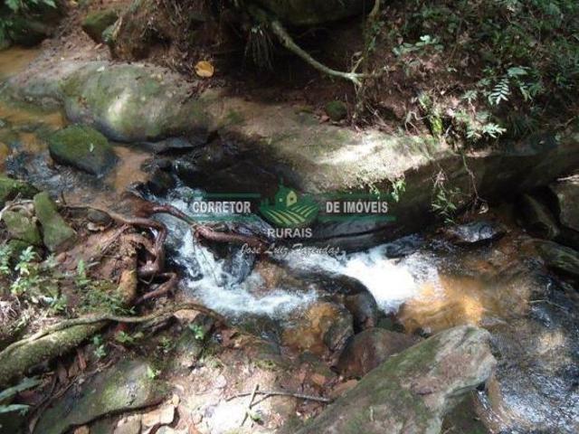 Sítio e chácara venda em Região Geográfica Imediata de Caxambu - Baependi, Baependi