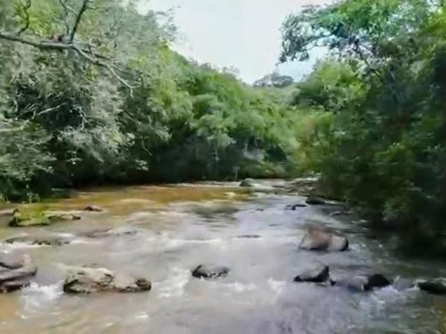 Sítio e chácara venda em Região Geográfica Imediata de Caxambu - Baependi, Baependi