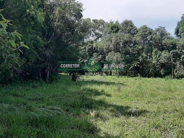 Sítio e chácara venda em Região Geográfica Imediata de Caxambu - Baependi, Baependi