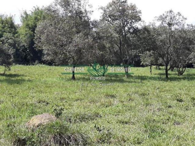 Sítio e chácara venda em Região Geográfica Imediata de Caxambu - Baependi, Baependi