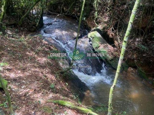 Sítio e chácara venda em Região Geográfica Imediata de Caxambu - Baependi, Baependi
