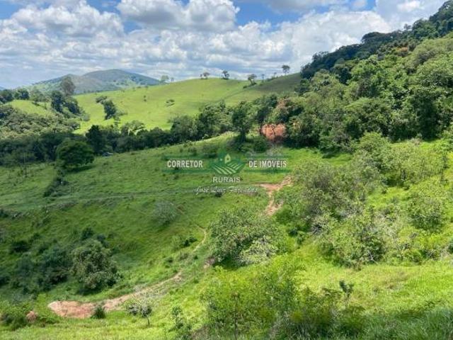 Sítio e chácara venda em Região Geográfica Imediata de Caxambu - Baependi, Baependi