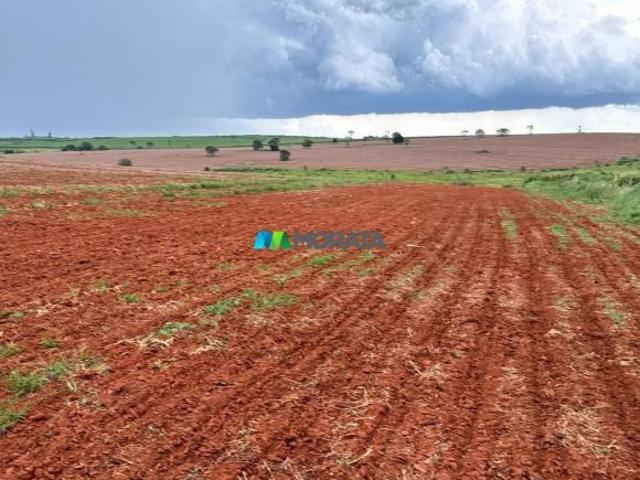 Sítio e chácara venda em Região Geográfica Imediata de Formiga, Bambuí