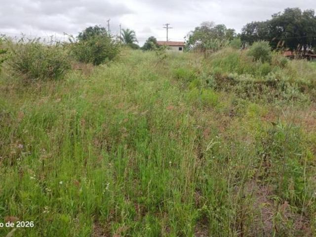 Sítio e chácara venda em Barão de Antonina