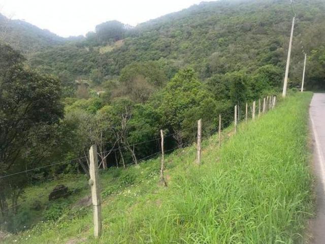 Sítio e chácara venda em Região Geográfica Imediata de Bento Gonçalves, Bento Gonçalves
