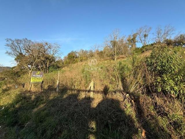 Sítio e chácara venda em Bento Gonçalves