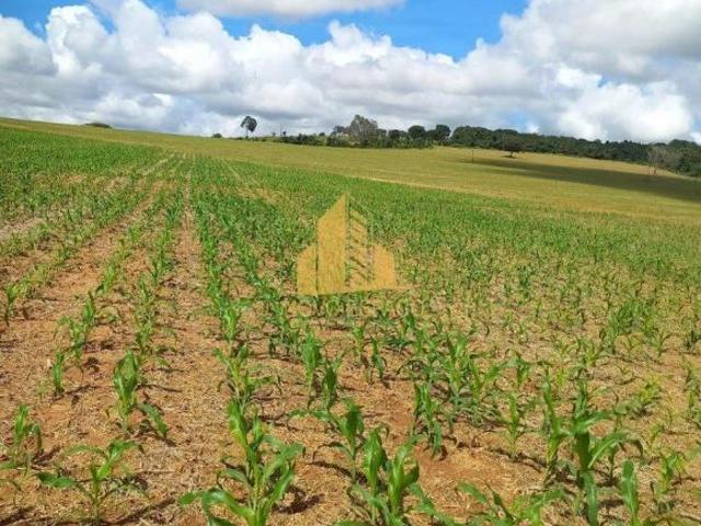 Sítio e chácara venda em Região Geográfica Imediata de Araxá, Araxá