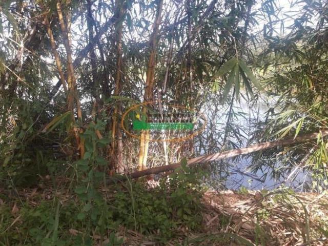 Sítio e chácara venda em Beltrão, Corinto