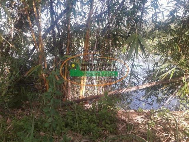 Sítio e chácara venda em Região Geográfica Imediata de Curvelo, Corinto