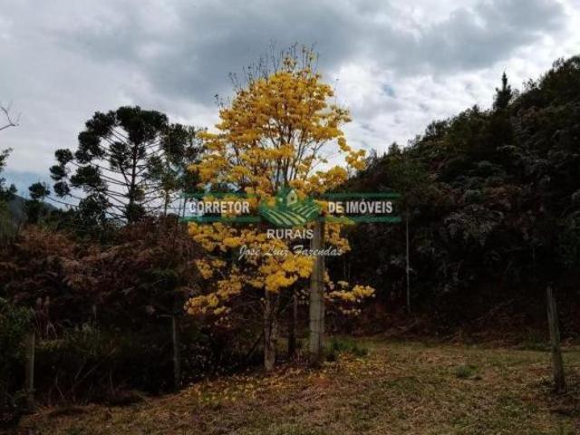Sítio e chácara venda em Região Geográfica Imediata de Belo Horizonte, Região Metropolitana de Belo Horizonte