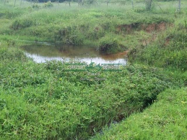 Sítio e chácara venda em Região Geográfica Imediata de Juiz de Fora, Bocaina de Minas