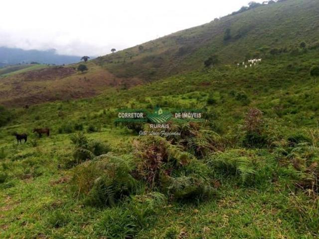 Sítio e chácara venda em Região Geográfica Imediata de Juiz de Fora, Bocaina de Minas