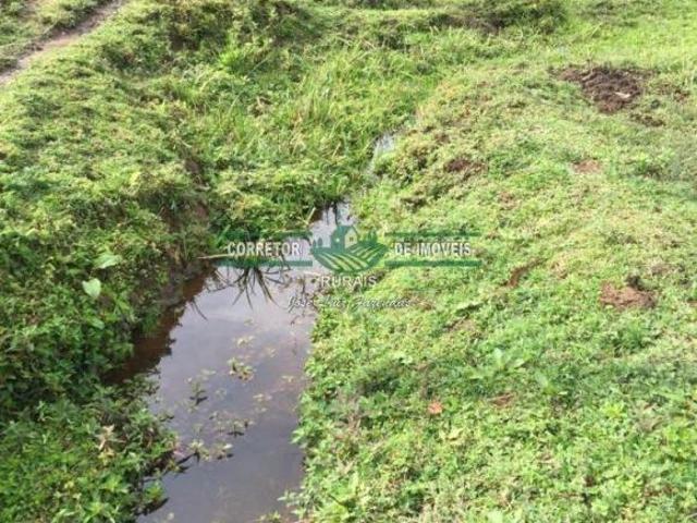 Sítio e chácara venda em Região Geográfica Imediata de Juiz de Fora, Bocaina de Minas