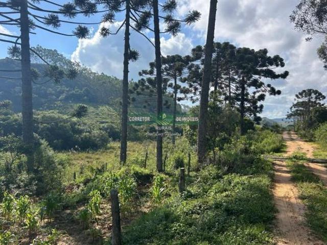 Sítio e chácara venda em Região Geográfica Imediata de Juiz de Fora, Bom Jardim de Minas