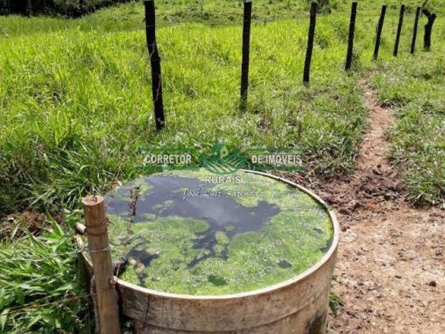 Sítio e chácara venda em Região Geográfica Imediata de Juiz de Fora, Bom Jardim de Minas
