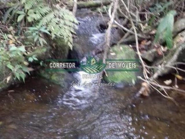 Sítio e chácara venda em Região Geográfica Imediata de Juiz de Fora, Bom Jardim de Minas