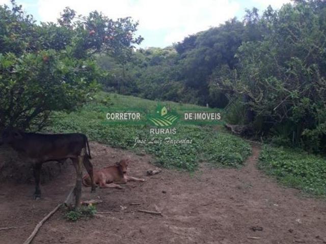 Sítio e chácara venda em Região Geográfica Imediata de Juiz de Fora, Bom Jardim de Minas