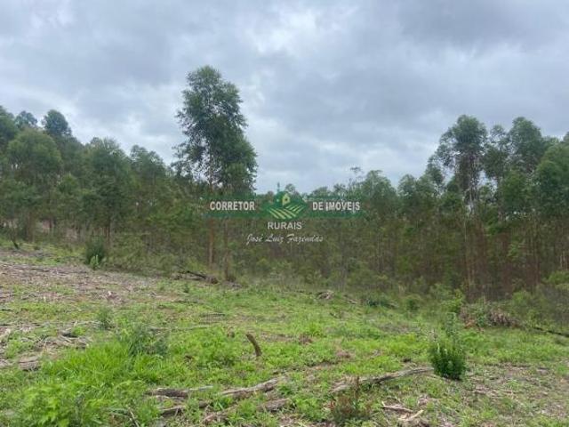 Sítio e chácara venda em Região Geográfica Imediata de Juiz de Fora, Bom Jardim de Minas