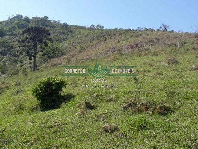 Sítio e chácara venda em Região Geográfica Imediata de Juiz de Fora, Bom Jardim de Minas