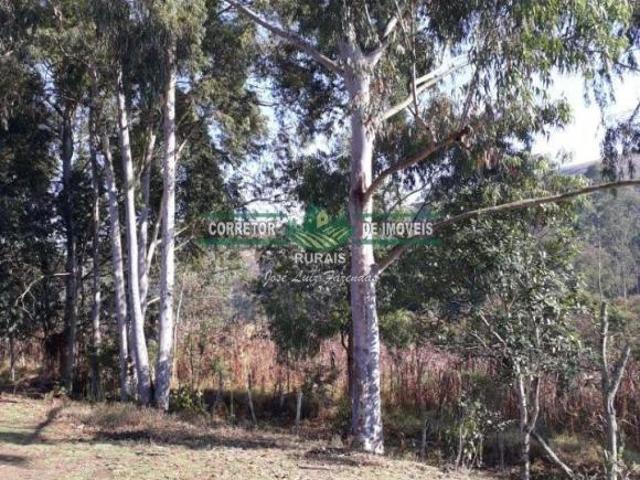 Sítio e chácara venda em Região Geográfica Imediata de Juiz de Fora, Bom Jardim de Minas