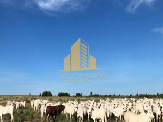 Sítio e chácara venda em Região Geográfica Imediata de Januária, Bonito de Minas