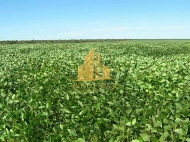 Sítio e chácara venda em Região Geográfica Imediata de Januária, Bonito de Minas