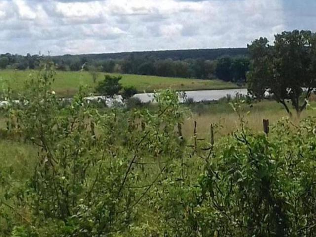 Sítio e chácara venda em Região Geográfica Imediata de Montes Claros, Brasília de Minas