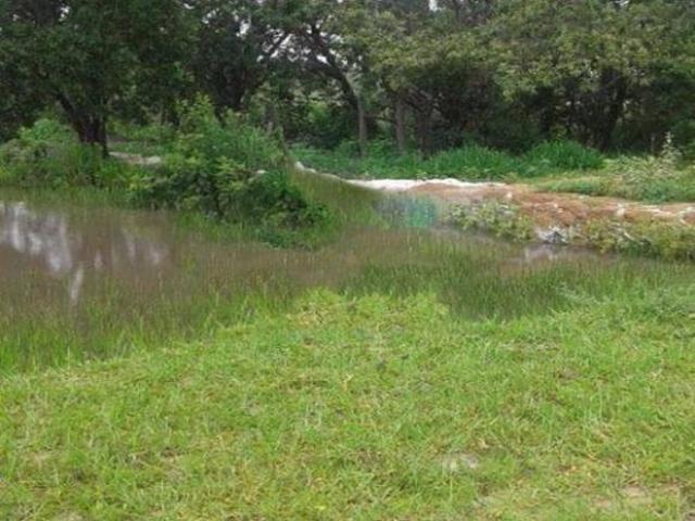 Sítio e chácara venda em Região Geográfica Imediata de Montes Claros, Brasília de Minas