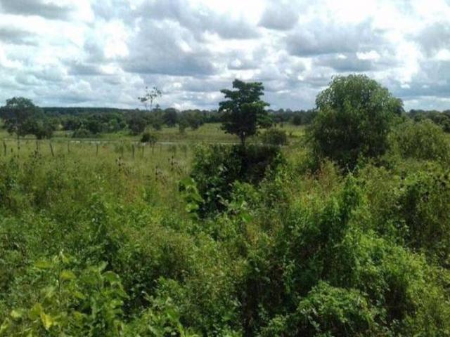 Sítio e chácara venda em Região Geográfica Imediata de Montes Claros, Brasília de Minas