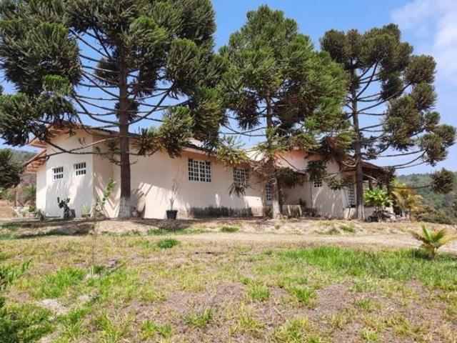 Sítio e chácara venda em São Luiz, Caeté