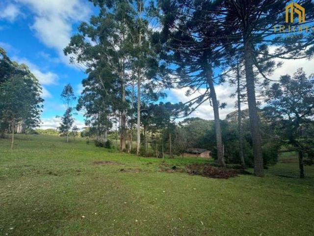 Sítio e chácara venda em Região Geográfica Imediata de Curitiba, Região Metropolitana de Curitiba