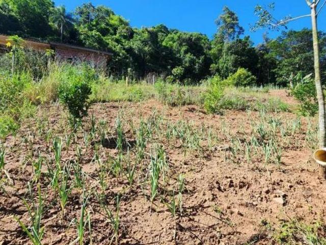 Sítio e chácara venda em Região Geográfica Imediata de Novo Hamburgo - São Leopoldo, Região Metropolitana de Porto Alegre