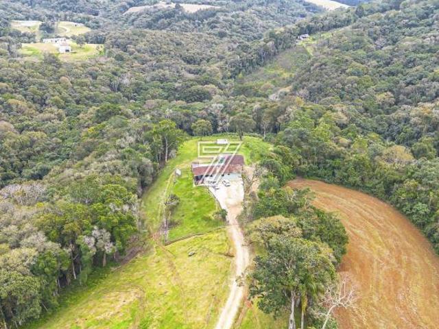 Sítio e chácara venda em Bateias, Campo Largo