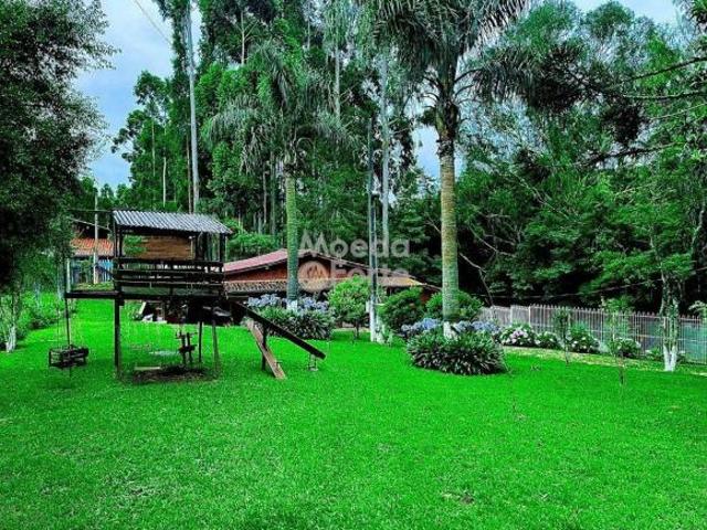 Sitio venda em Campo Magro, Jardim Cecília